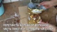 Увидела в садовом центре эту красоту, но покупать не стала. ...