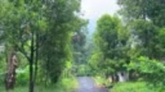 Rain in Dawuhan Village_A very beautiful and relaxed village...