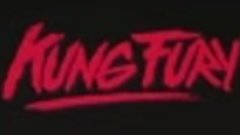 KUNG FURY (в переводе Леонида Володарского)