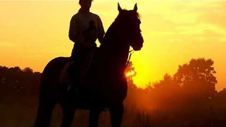 Выйду в поле с конем фото Выйду в поле с конем фото