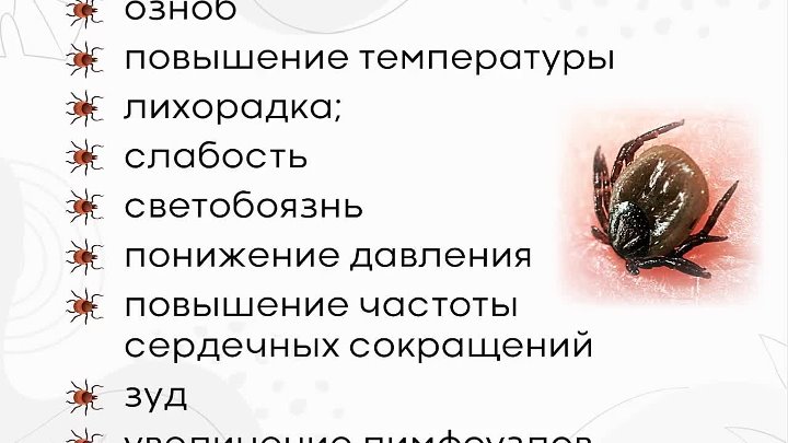 Как выглядит укус клеща признаки Как выглядит укус клеща признаки