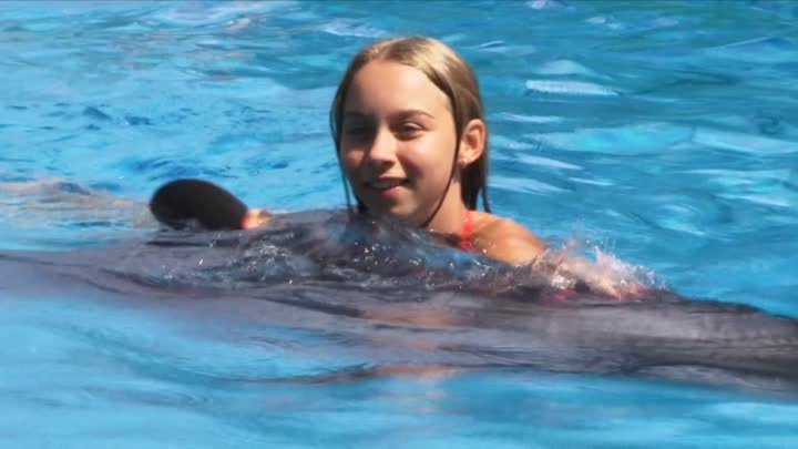 Плаванье с дельфинами, фото с дельфинами.