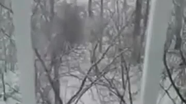 Видео от Регион 55 _ ЧС Омск