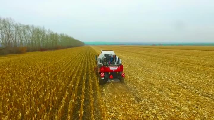 Уборка кукурузы в Белгородской области - в работе ультракомпактный NOVA
