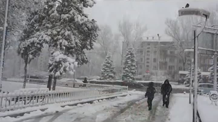 "Снегопад". Алматы-2013. Айгуль Кахарман.
