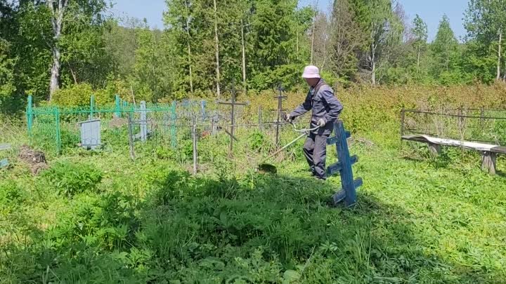 Обкос травы и годовалых порослей беревьев  на нововыселковском кладбище - 19 мая 2023 г.