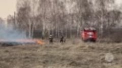 110 пожаров произошло в Кузбассе за день

