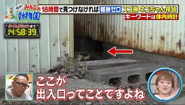 嗚呼‼みんなの動物園 230513 動画 | 2023年5月13日