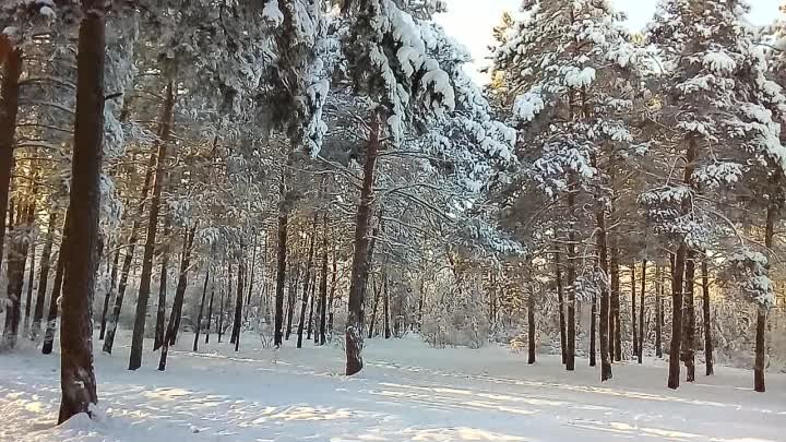 В парке