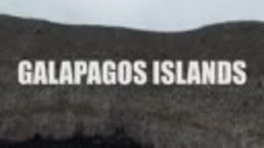 Галапагосские острова с MV Galapagos Aggressor III