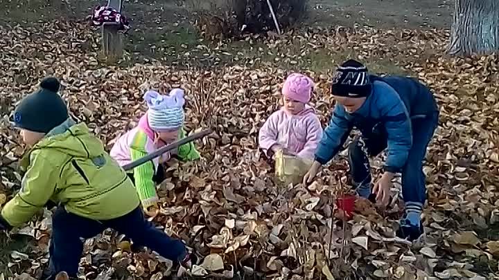 Уборка листвы 2018. Волонтёры.