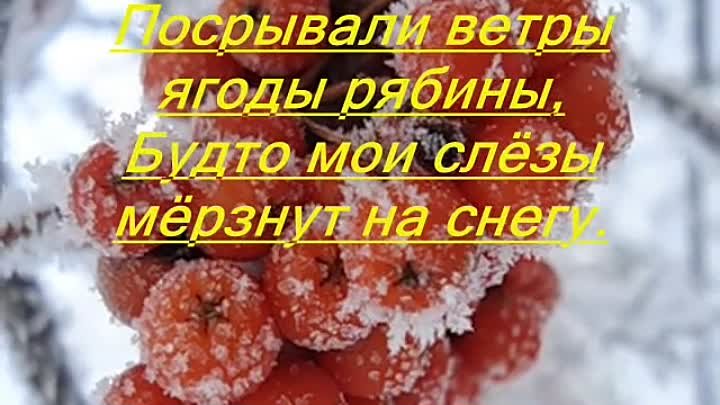 Анатолий Пчелов - Стужа (480 х 640)