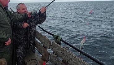 Рыбалка на Баренцевом море. Достал маленькую треску с глубины 56 метров.