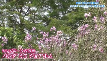 東野・岡村の旅猿 230517 動画 | 2023年5月17日