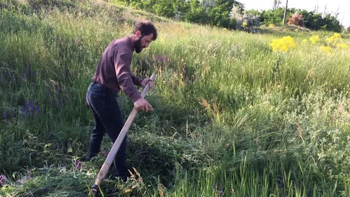Батюшка Алексей косит траву для украшения храма на Троицу 2023