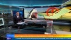 В Египте акула съела купавшегося в море россиянина