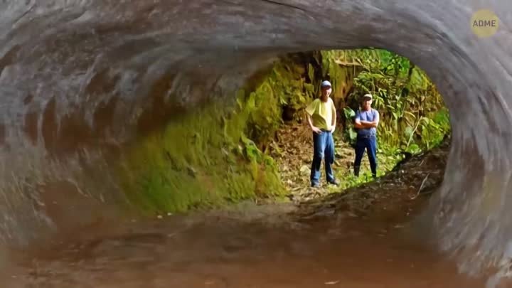 Эти огромные тоннели были вырыты древними существами
