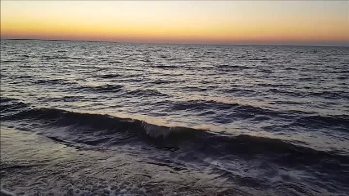 Видео-сюжеты с пляжа.г. Приморско-Ахтарска.