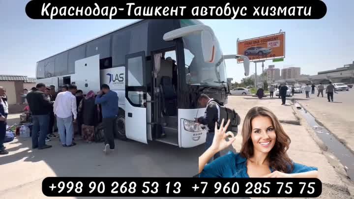 Краснодар Ташкент автобус,Ростов Ташкент автобус,Волгоград Ташкент а ...