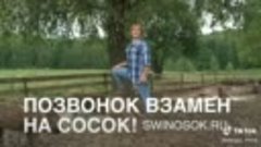 Ад венгерских свинок .Салют для свиней.