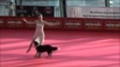 собака и девушка танцуют классно