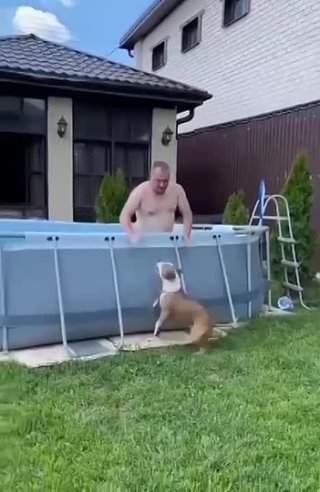 Собака хочет плавать - подпишись на группу!