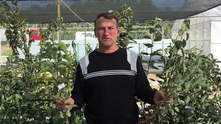 Омский садовод фото Омский садовод фото