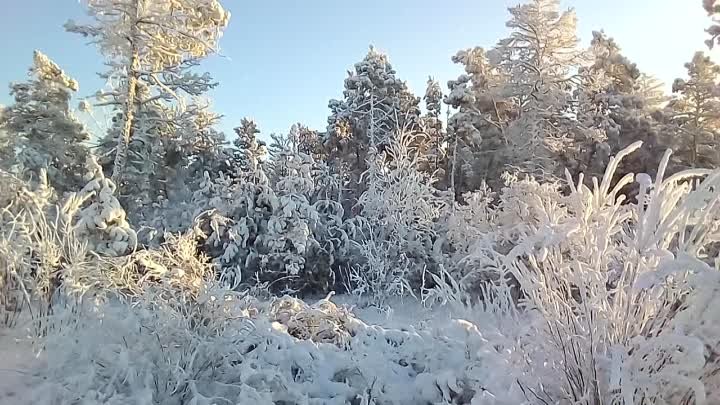 Солнечный день