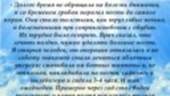 Как избавиться от грибка ногтей 5 проверенных народных рецеп...