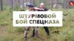 Смертельные приемы Спецназа _ Вадим Старов в армии учат убив...