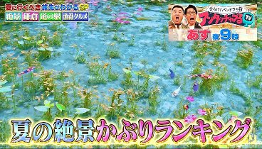 知って得する！1番かぶり 230605 動画 道の駅！得するランキング！ | 2023年6月5日