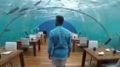 Ресторан под морем