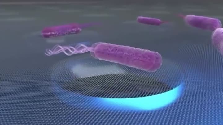 Бактерия издает звуки