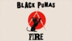 Black Pumas - Fire