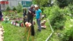 Сами с руками: ачинцы создали мини-сад в своём дворе