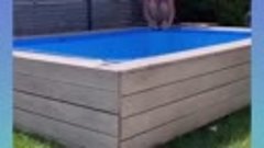 Создайте классный бассейн на даче