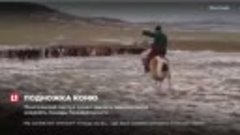 Монгольский пастух сумел сделать невозможное оседлать лошадь...