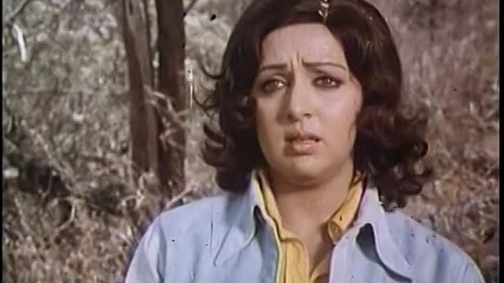 Король джунглей фото Король джунглей фото