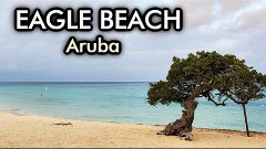 Eagle Beach Aruba - the best beach in the World