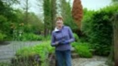 Beechgrove Garden - 2023 Episode 14 - 1280x720 5510K