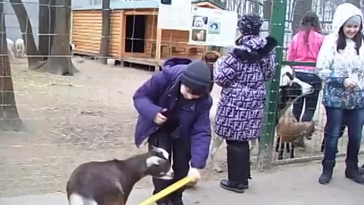 Динька прыгает в обруч