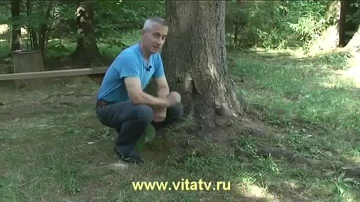 Доктор Попов - Лечение грибом