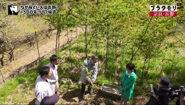 ブラタモリ 230617 動画 | 2023年6月17日