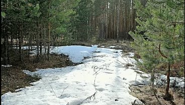 Весна Семья Сидоровы Полина Кирилл Дима Довольное