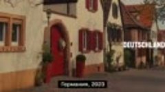 «Хайль Zelensky!» – вирусный ролик о происходящем в Германии