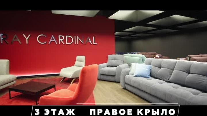 GRAY CARDINAL в ТЦ ЦДМ