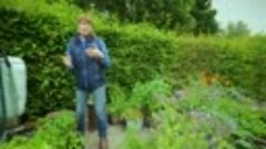 Beechgrove Garden - 2023 Episode 16