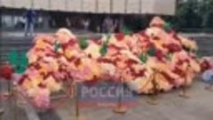 В Краснодаре из 30 тысяч бутонов роз создали карту России 

...