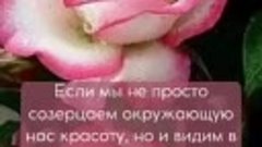 ЛЮБИМЫЕ  МОИ 🌹🌹🌹💖💖💖😇
БЕЛЫЕ-САМЫЕ НЕЖНЫЕ💋❣🌹🌹🌹