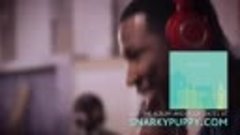 Snarky PUPPY, Lingus